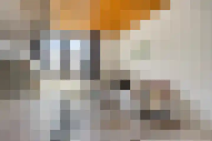 Mathijs Heugenstraat 26 Maastricht thumbnail 9