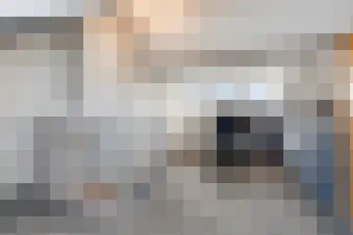 Mathijs Roosenstraat 10 Gronsveld thumbnail 26