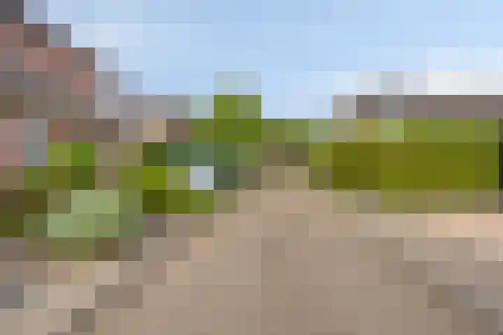 Mathijs Roosenstraat 10 Gronsveld thumbnail 39