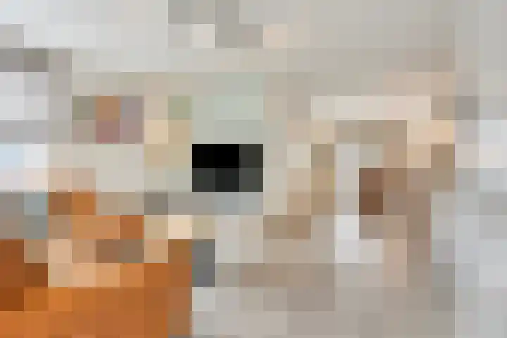 Mathijs Roosenstraat 10 Gronsveld thumbnail 5