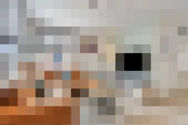 Mathijs Roosenstraat 10 Gronsveld thumbnail 7