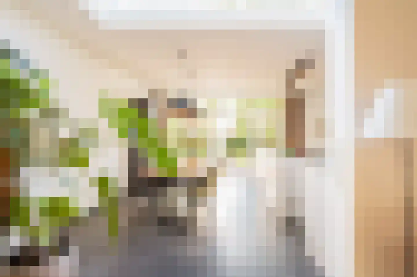 Mathijsenlaan 14 Eindhoven thumbnail 15