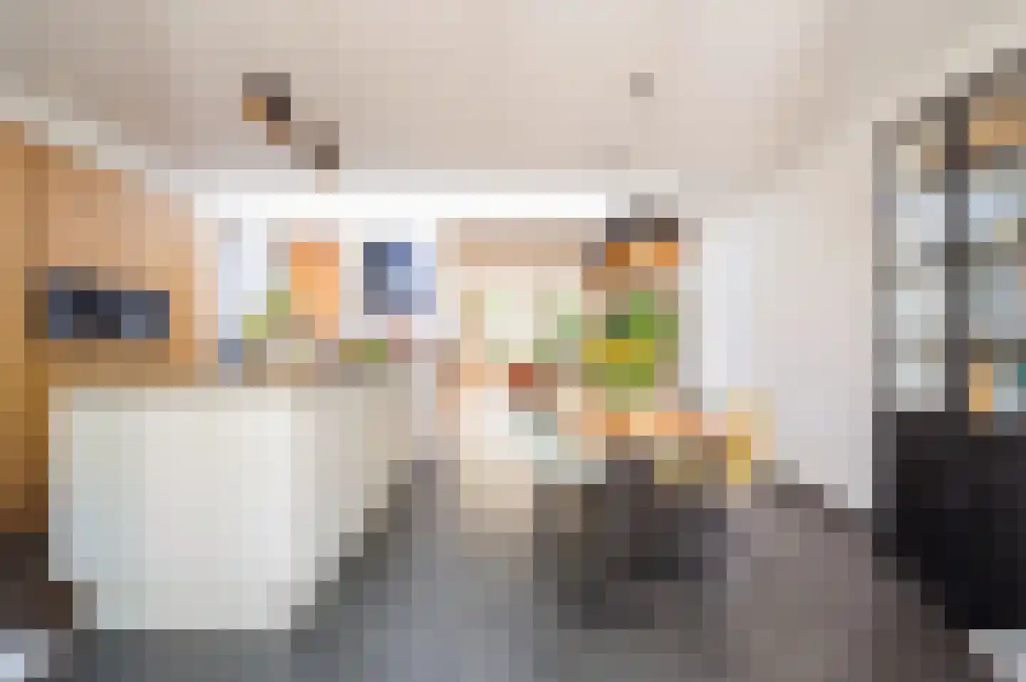 Mathijsenlaan 14 Eindhoven thumbnail 20