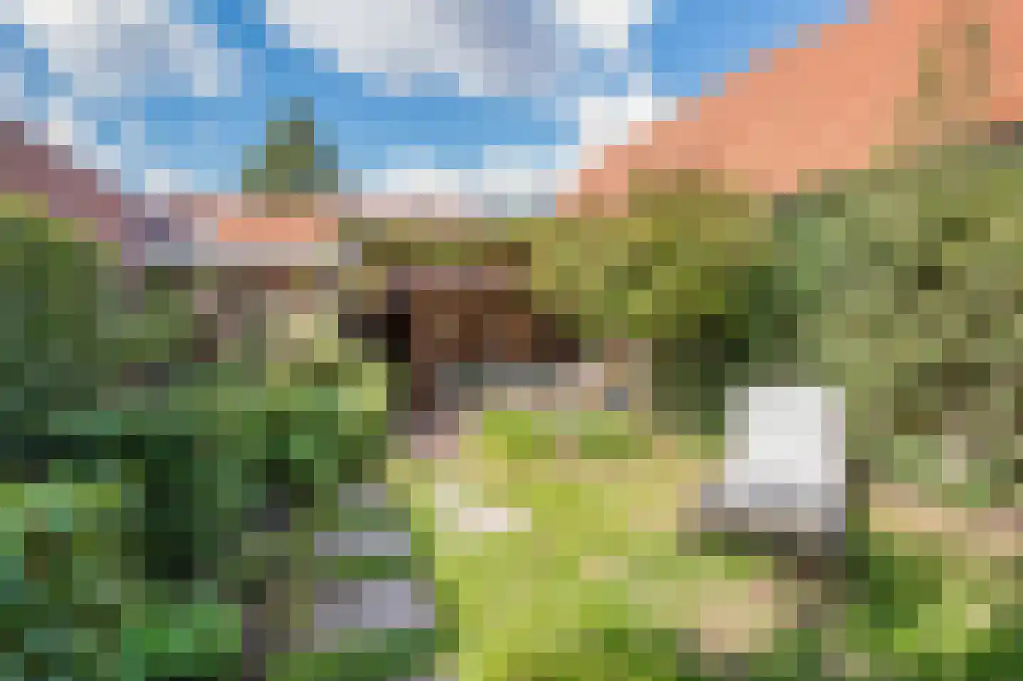 Mathijsenlaan 14 Eindhoven thumbnail 41