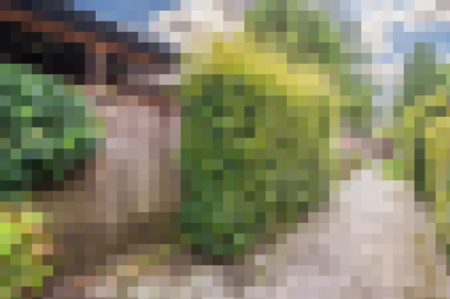 Mathijsenlaan 14 Eindhoven thumbnail 44