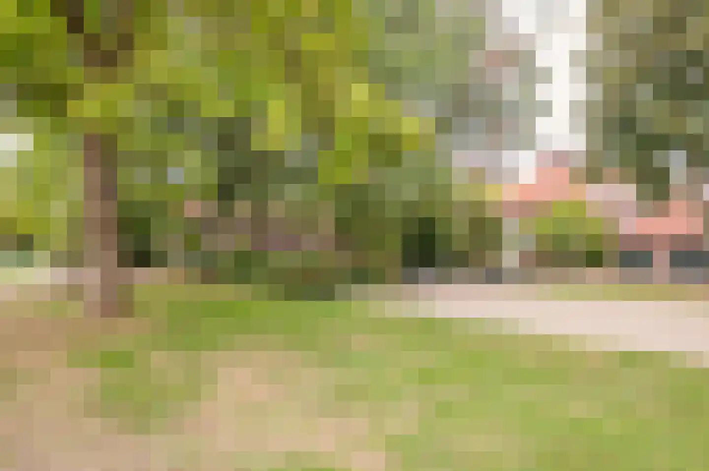 Mathijsenlaan 14 Eindhoven thumbnail 49