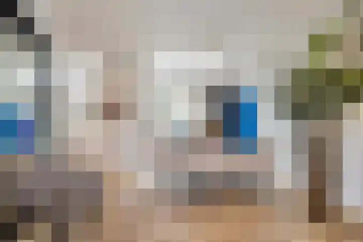 Mathijsenlaan 26 Eindhoven thumbnail 11