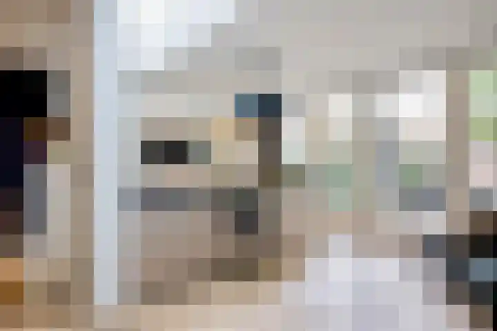 Mathijsenlaan 26 Eindhoven thumbnail 12