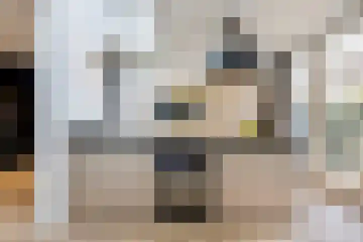 Mathijsenlaan 26 Eindhoven thumbnail 13