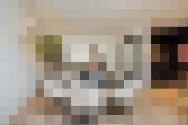 Mathijsenlaan 26 Eindhoven thumbnail 19