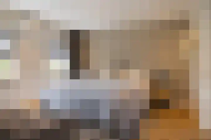 Mathijsenlaan 26 Eindhoven thumbnail 21