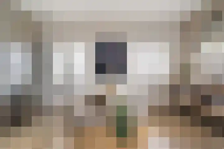 Mathijsenlaan 26 Eindhoven thumbnail 23