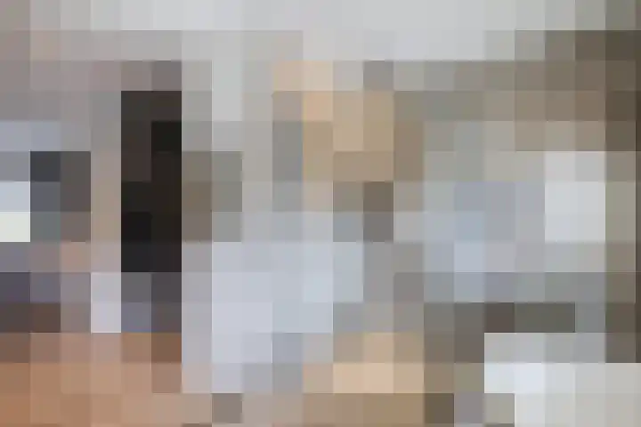 Mathijsenlaan 26 Eindhoven thumbnail 25