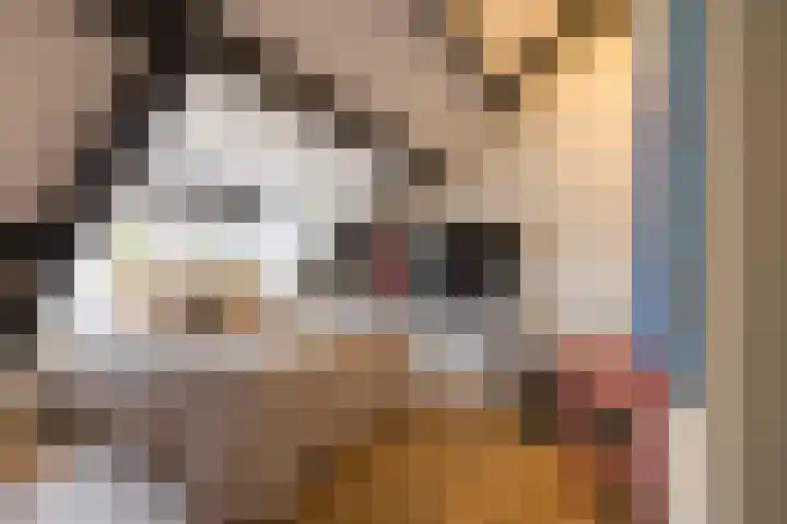 Mathijsenlaan 26 Eindhoven thumbnail 28