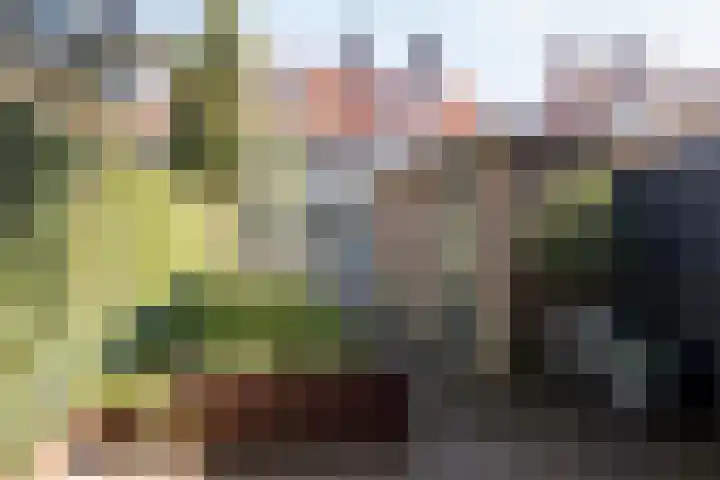 Mathijsenlaan 26 Eindhoven thumbnail 32