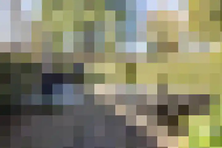 Mathijsenlaan 26 Eindhoven thumbnail 33