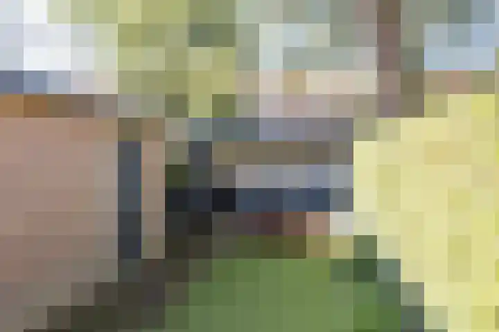 Mathijsenlaan 26 Eindhoven thumbnail 35