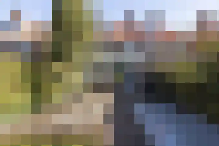 Mathijsenlaan 26 Eindhoven thumbnail 37