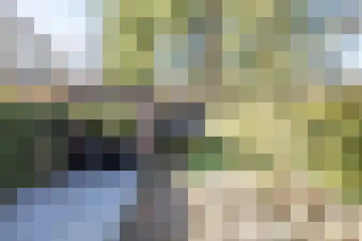 Mathijsenlaan 26 Eindhoven thumbnail 5