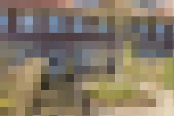 Mathijsenlaan 26 Eindhoven thumbnail 6