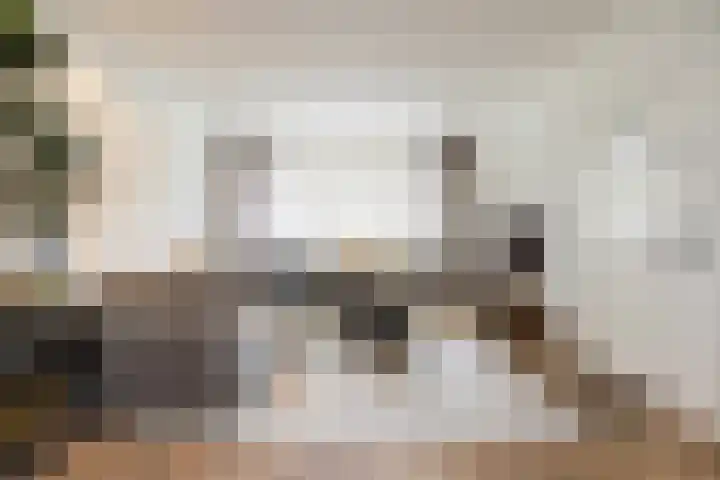 Mathijsenlaan 26 Eindhoven thumbnail 8