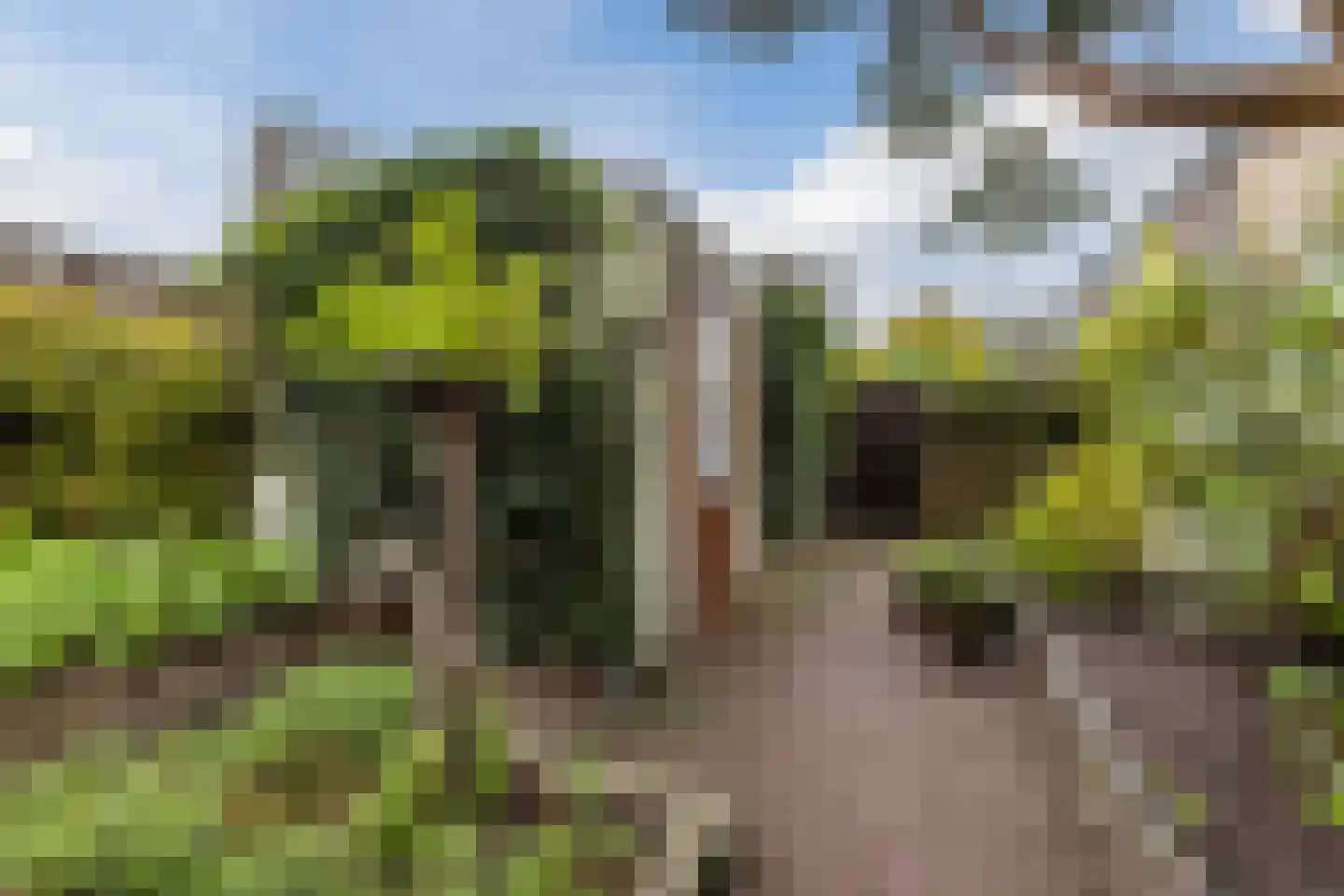 Mathijsenstraat 13 Bergen op Zoom thumbnail 33