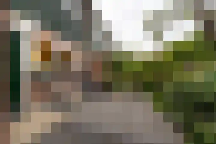 Mathijsenstraat 16 Haarlem thumbnail 28
