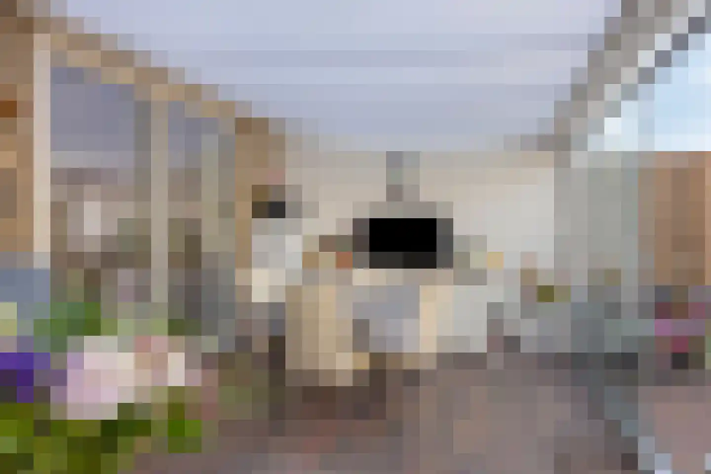 Mathijsenstraat 9 Bergen op Zoom thumbnail 35