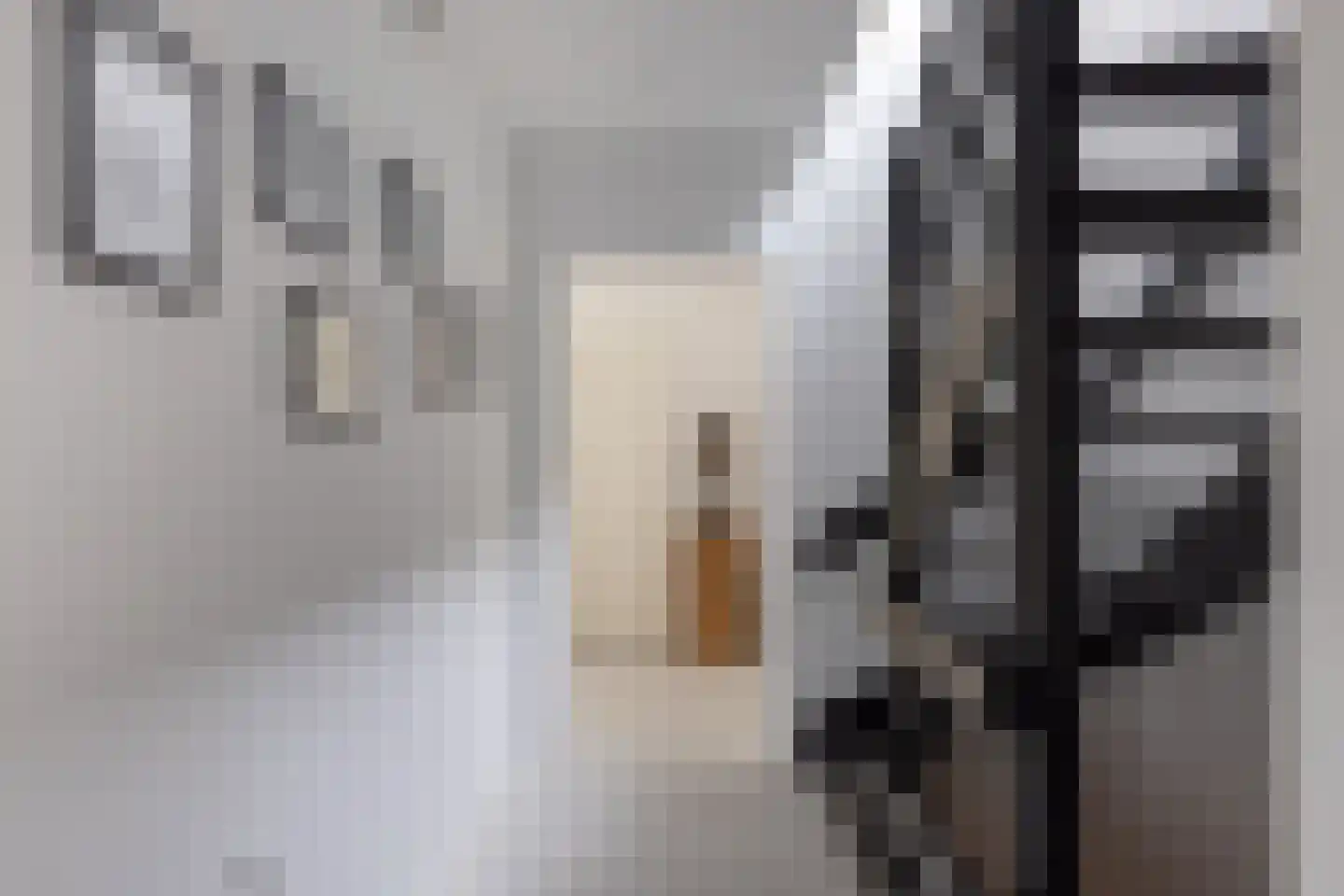 Mathildastraat 23 Oosterhout thumbnail 22