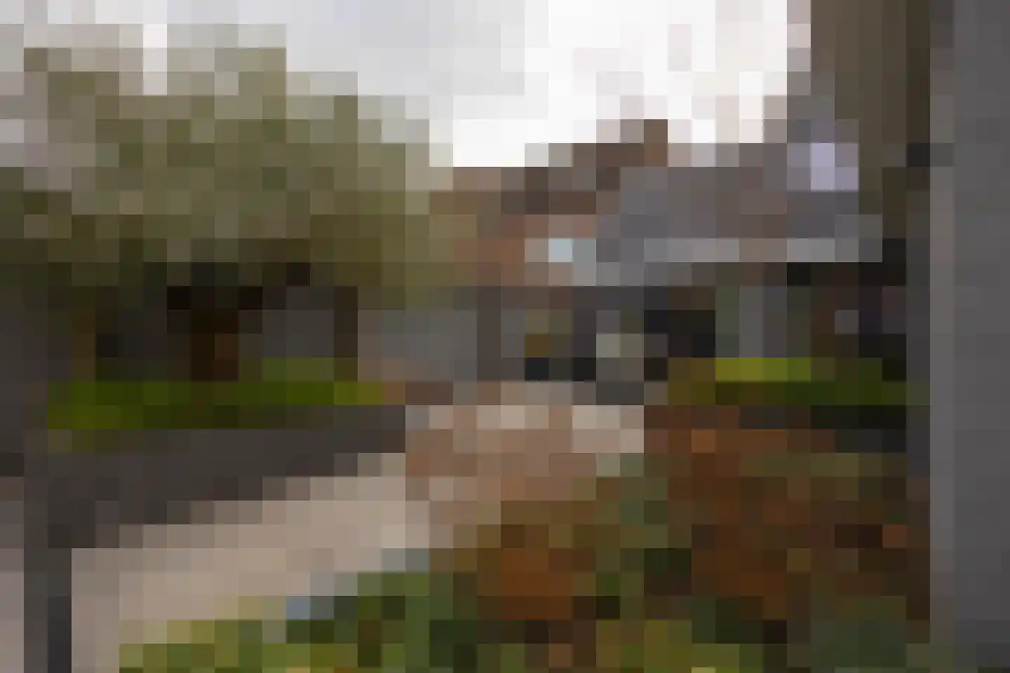 Mathildastraat 23 Oosterhout thumbnail 38