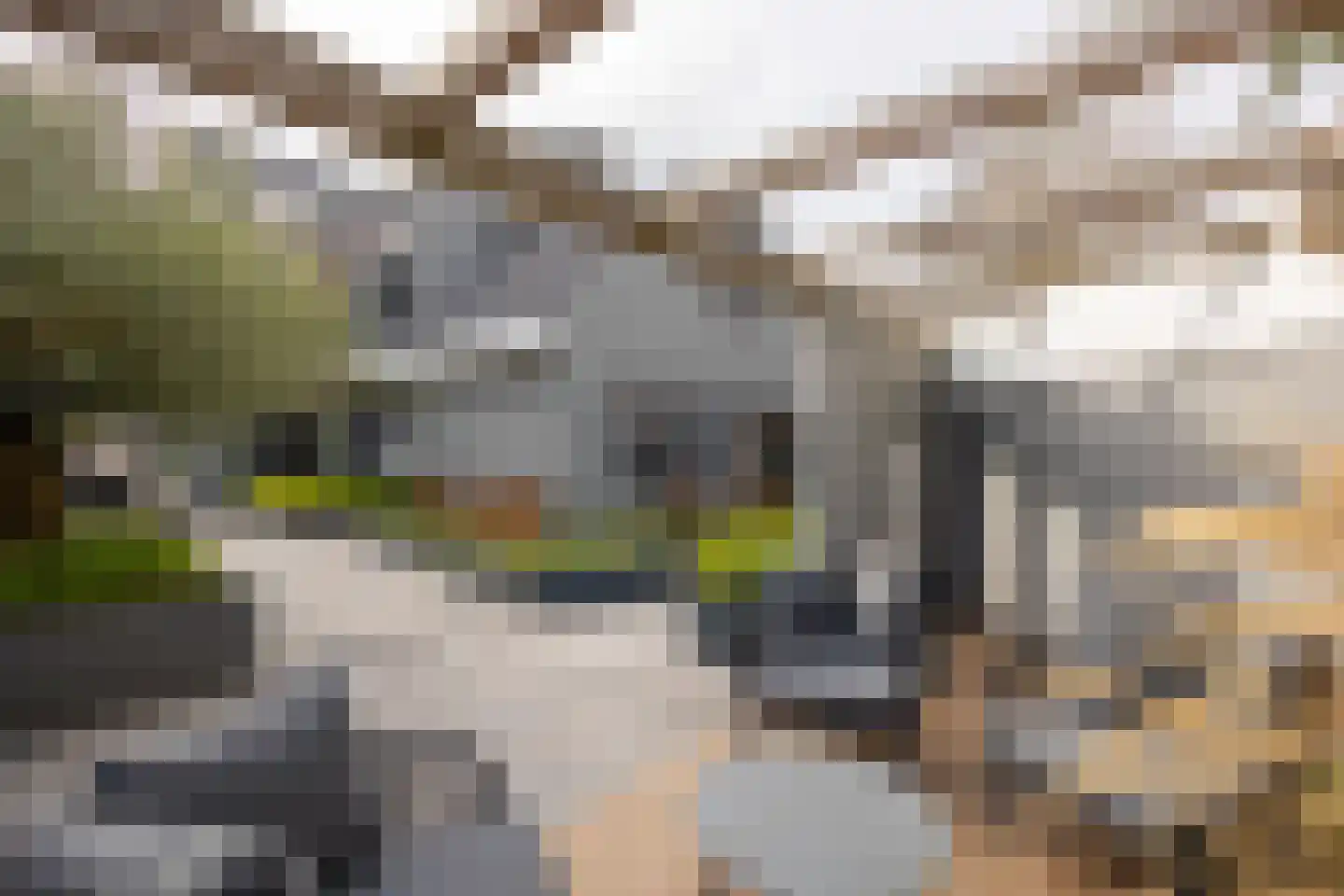 Mathildastraat 23 Oosterhout thumbnail 48