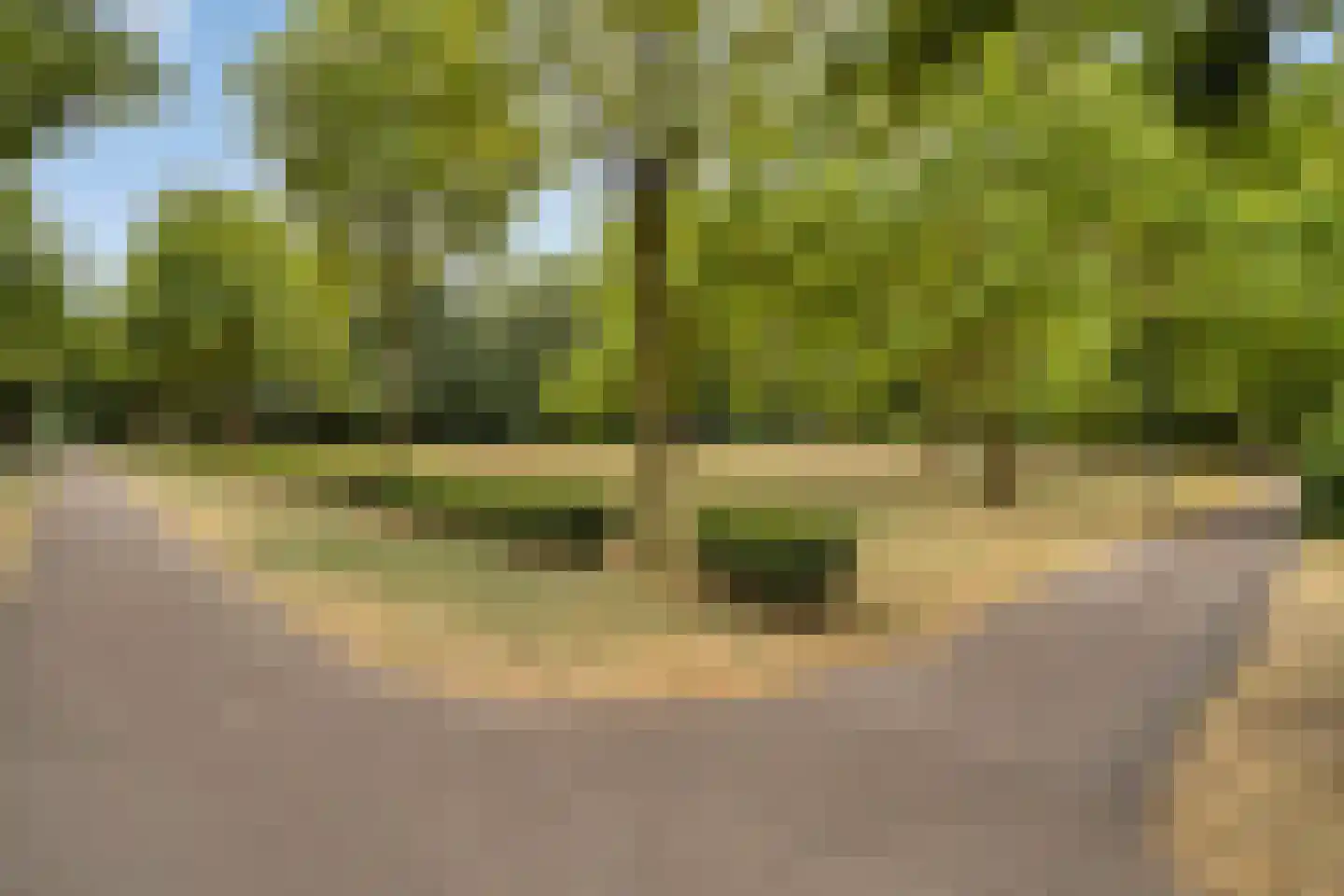 Mathildastraat 3 H Oosterhout thumbnail 4
