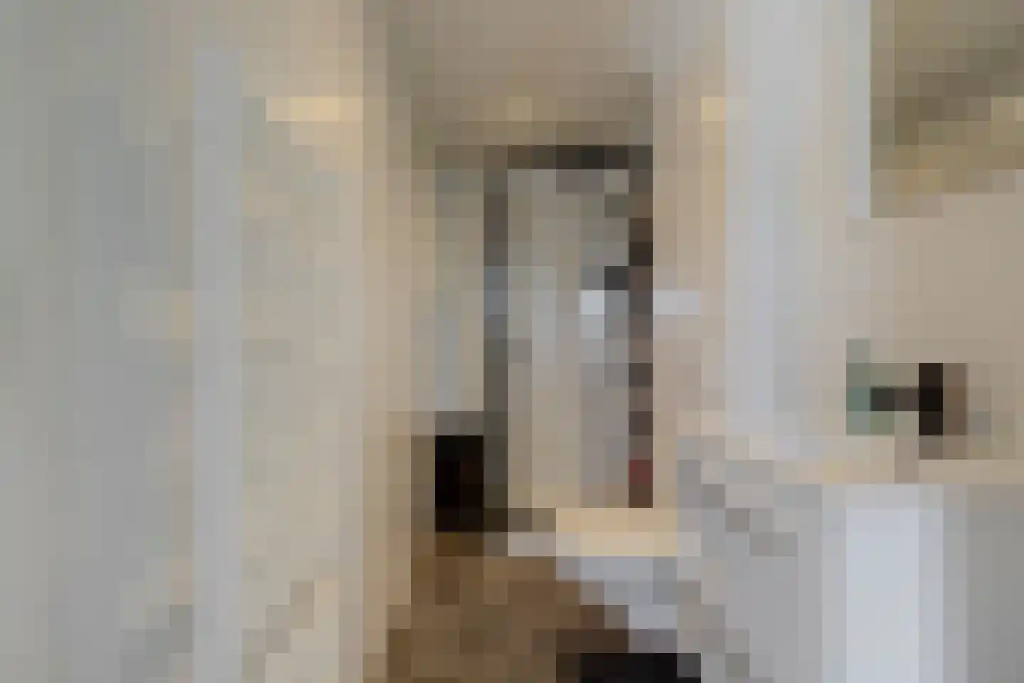 Mathildastraat 36 E Oosterhout thumbnail 16