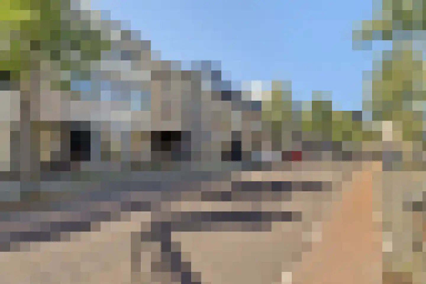 Mathildastraat 36 E Oosterhout thumbnail 5