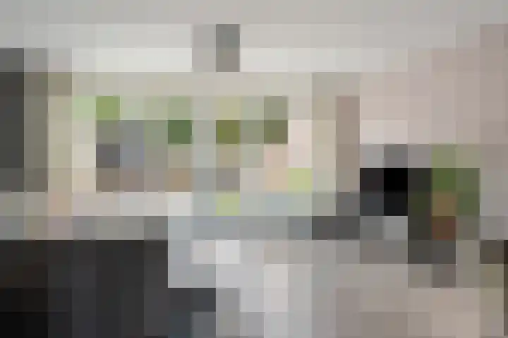 Mathilde Wibautsingel 13 Emmeloord thumbnail 14