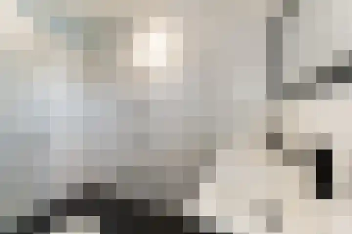 Mathilde Wibautsingel 13 Emmeloord thumbnail 36