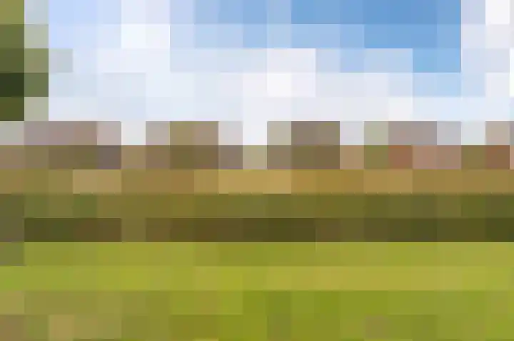 Mathilde Wibautsingel 13 Emmeloord thumbnail 9