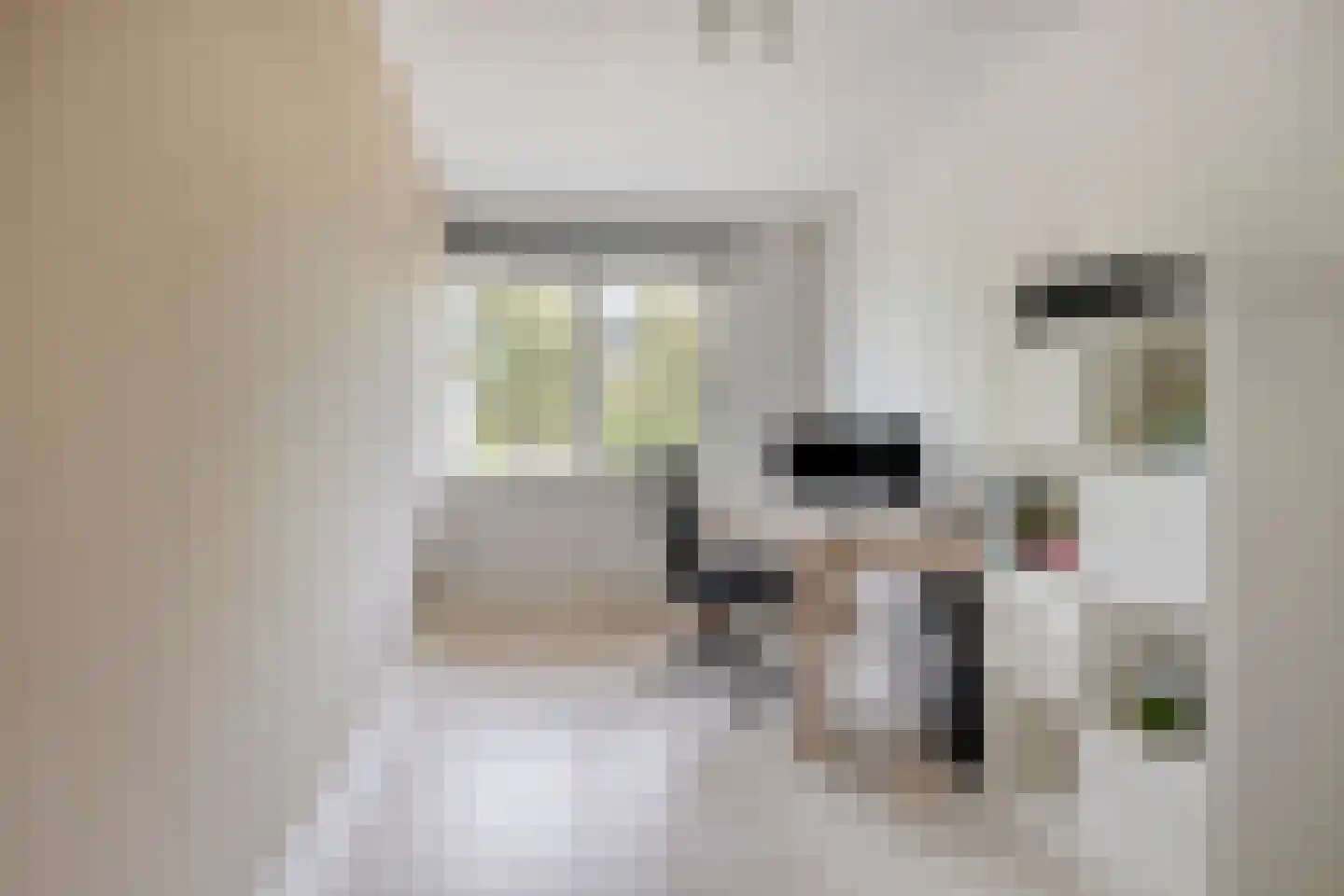 Mathilde Wibautsingel 29 Emmeloord thumbnail 20