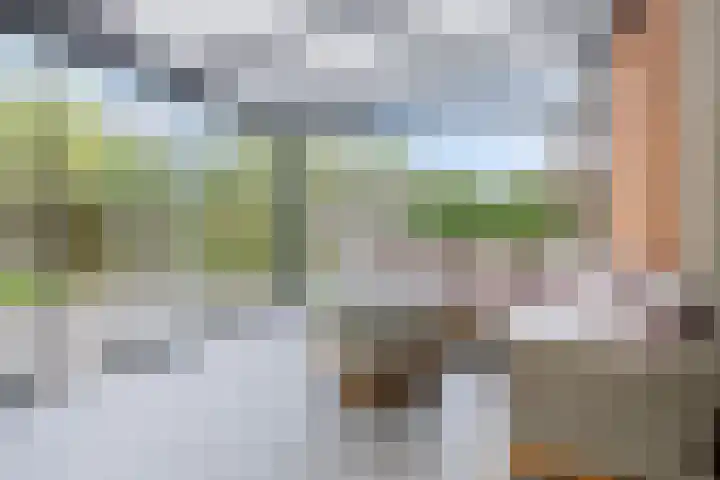 Mathilde Wibautsingel 33 Emmeloord thumbnail 15