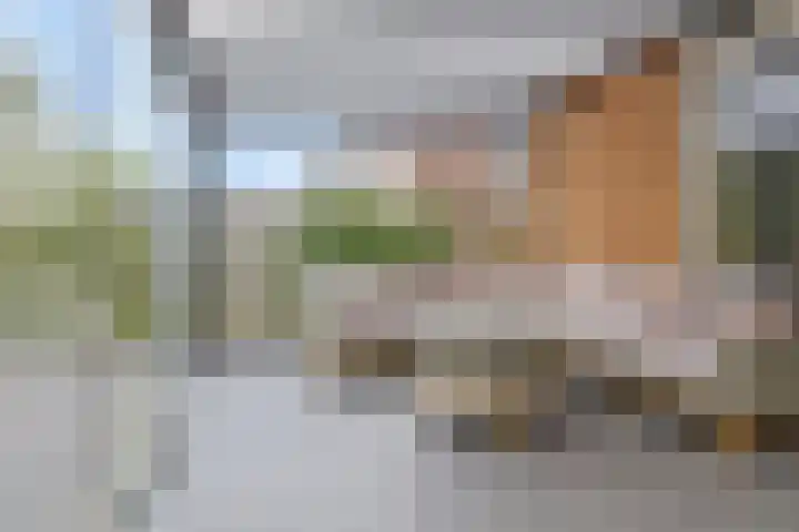 Mathilde Wibautsingel 33 Emmeloord thumbnail 16