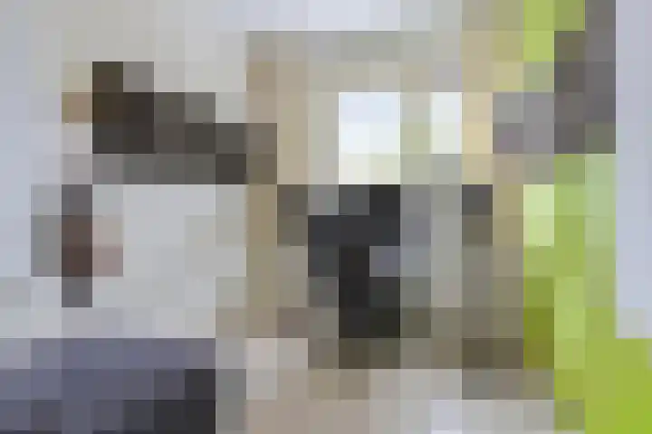 Mathilde Wibautsingel 33 Emmeloord thumbnail 18