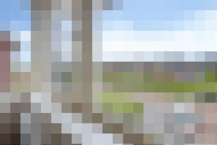 Mathilde Wibautsingel 33 Emmeloord thumbnail 21