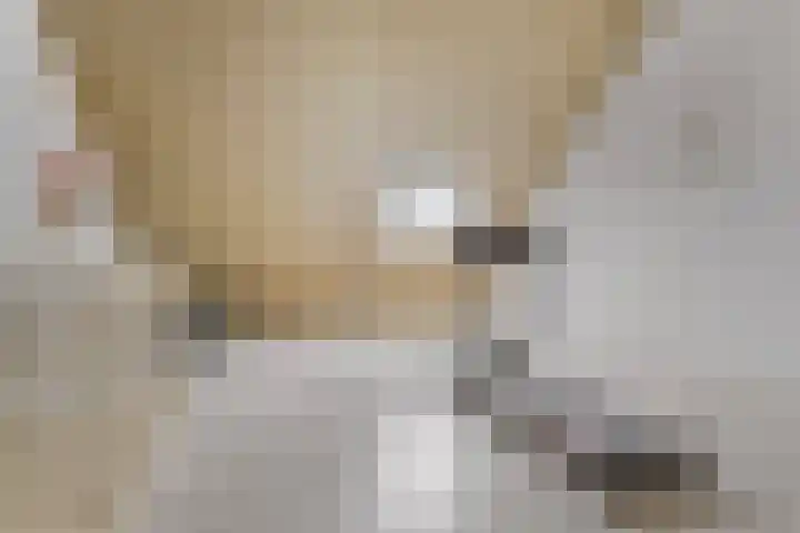 Mathilde Wibautsingel 33 Emmeloord thumbnail 28