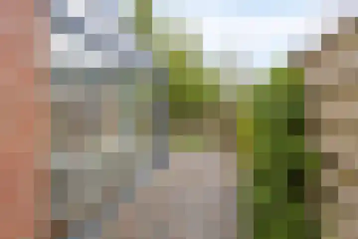 Mathilde Wibautsingel 33 Emmeloord thumbnail 29