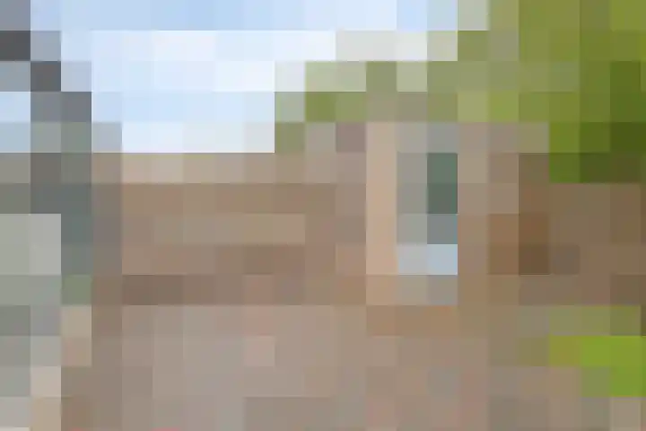 Mathilde Wibautsingel 33 Emmeloord thumbnail 30