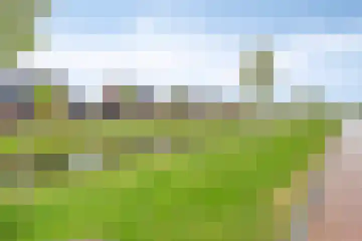 Mathilde Wibautsingel 33 Emmeloord thumbnail 33