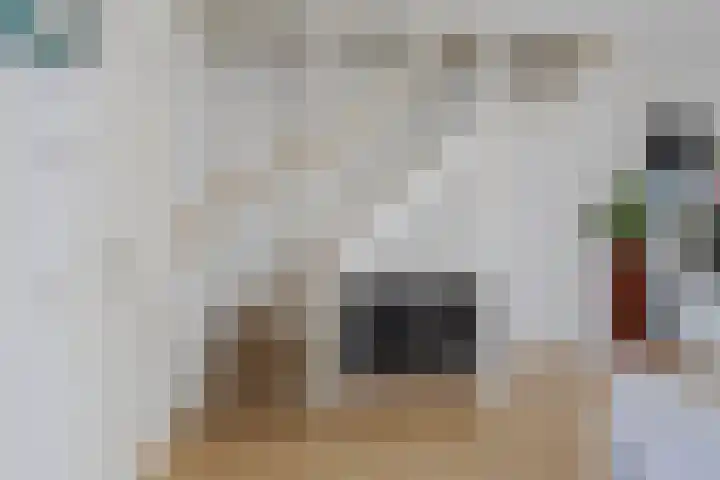 Mathilde Wibautsingel 33 Emmeloord thumbnail 9