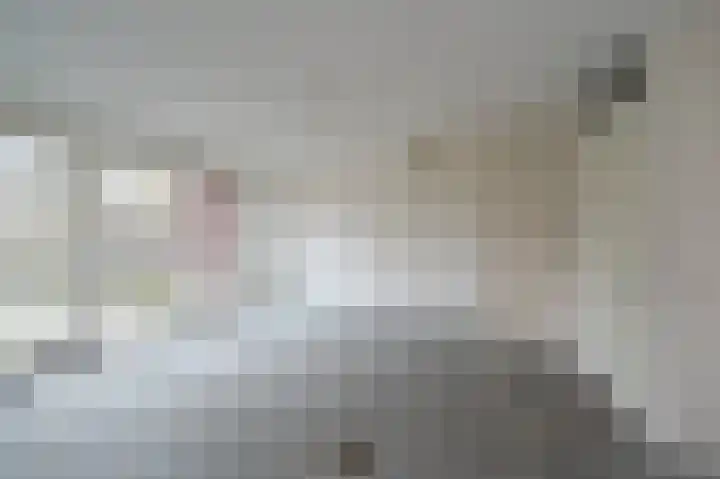 Mathilde Wibautsingel 35 Emmeloord thumbnail 19
