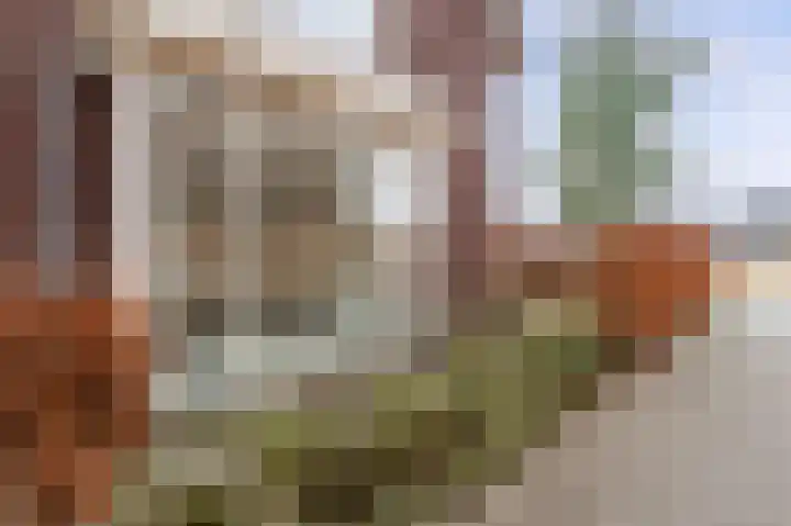 Mathilde Wibautsingel 35 Emmeloord thumbnail 22