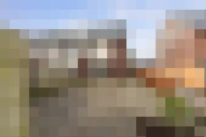 Mathilde Wibautsingel 35 Emmeloord thumbnail 25
